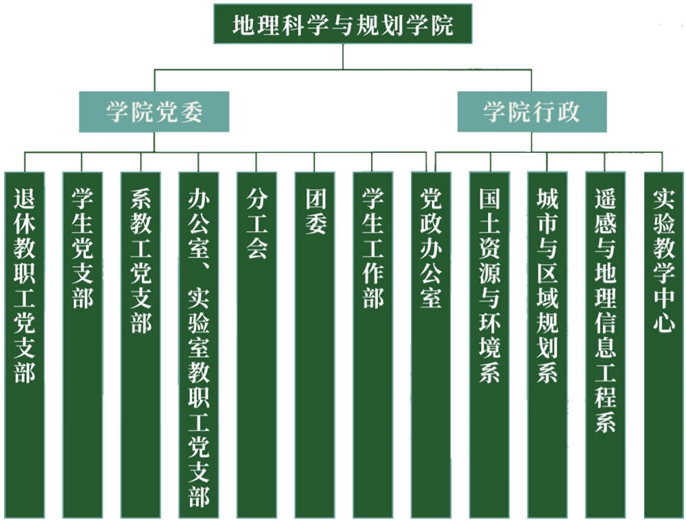 公司架构